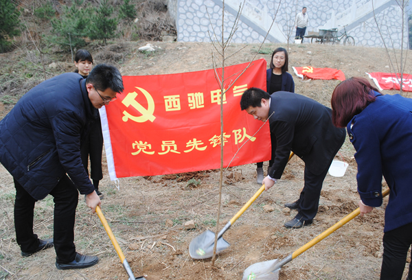 “春動(dòng)西馳 綠滿秦嶺”公益植樹(shù)活動(dòng)(圖3)